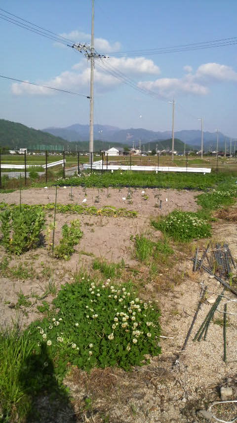 2010051716300000.jpg