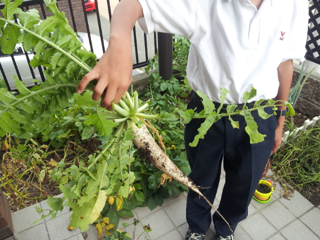 2012-06-17 17.29.36.jpg