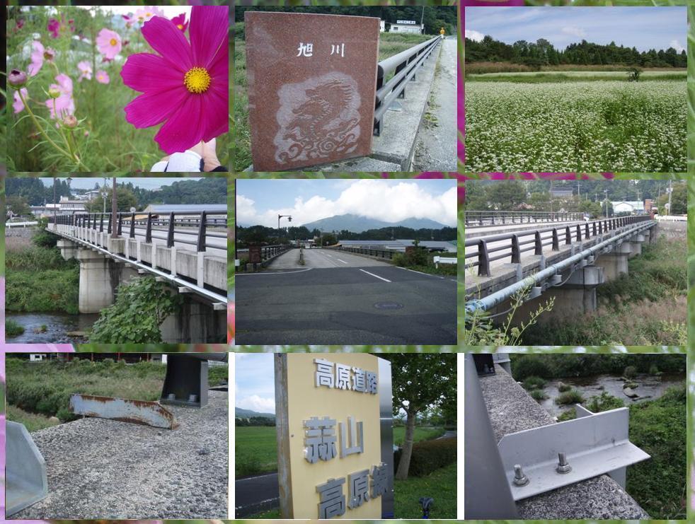 コピー ～ 蒜山高原.JPG